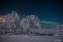 Winter Sky