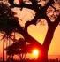 Nature with Heart ~