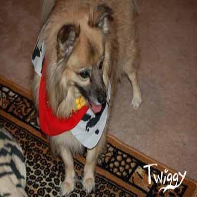 Heere's Twiggy!! ~ Heere's Twiggy!! ~