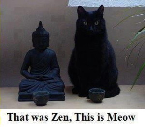 Zen_to_Meow